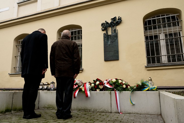 Galeria zdjęcie #29