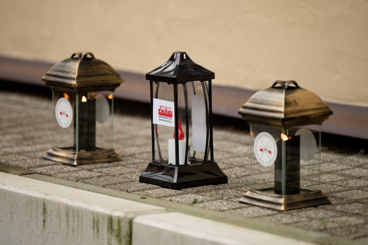 Galeria zdjęcie #15