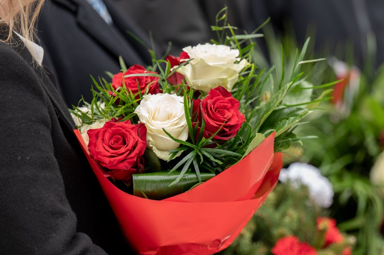 Galeria zdjęcie #14