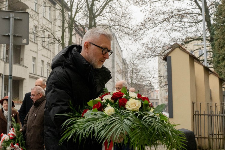 Galeria zdjęcie #24