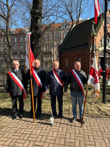 Galeria zdjęcie #32