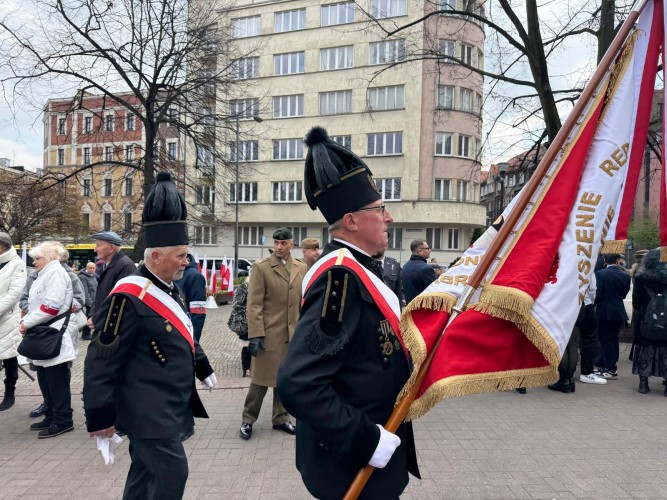 Galeria zdjęcie #43